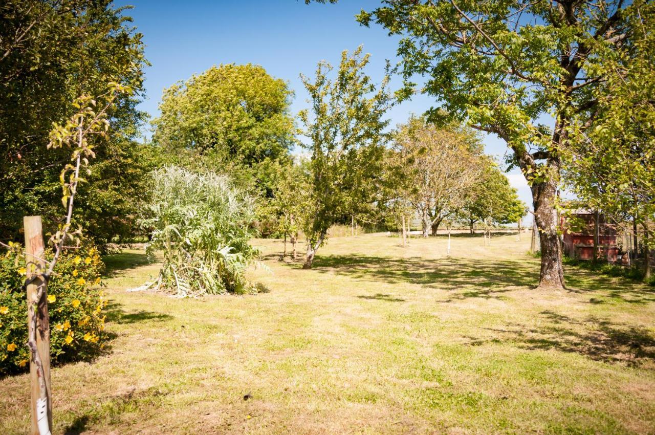 Cadleigh Manor Villa Ivybridge Buitenkant foto